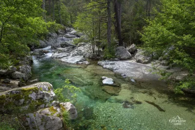 Piscine naturelle