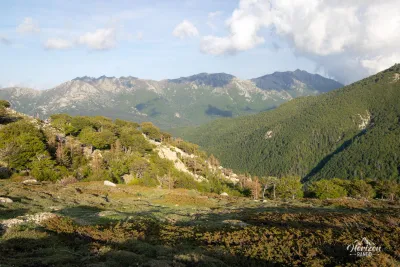 Vue à l'Est