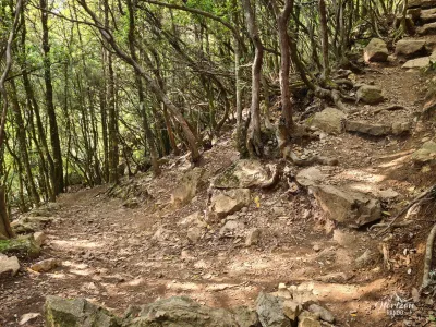 Sentier vers la cascade