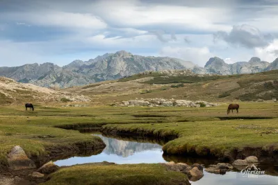 Pozzines du lac de Nino devant le massif du Rotondo Pozzines du lac de Nino