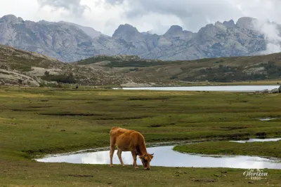 Plateau du Camputile et lac de Nino devant le massif du Rotondo Plateau du Camputile et lac de Nino devant le massif du Rotondo