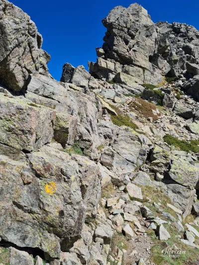 Sentier sous le sommet