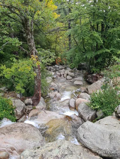 Ruisseau de Casso GR20 Étape 11 – De Capannelle à Prati – photo 5