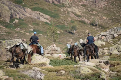 Les ânes ravitaillent le refuge de Ciottulu di i Mori Les ânes ravitaillent le refuge de Ciottulu di i Mori