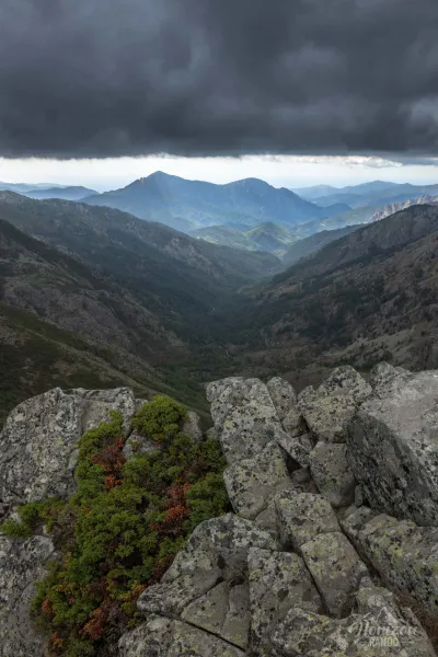 Vue à l'est depuis les crêtes