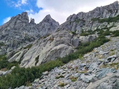 Descente vers Vizzavona GR20 Étape 9 – Variante Alpine – photo 15