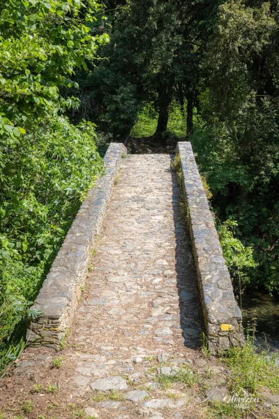 Pont génois de Bucatoggio