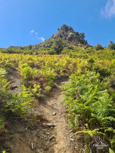 Sentier à la montée Sentier à la montée