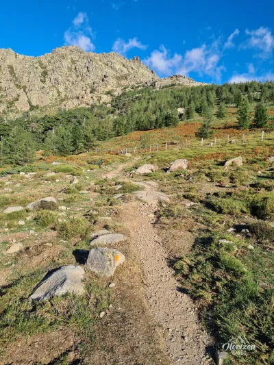 Sentier au départ du col de Vergio Sentier au départ du col de Vergio