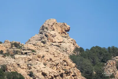 Le rocher de lion de Piana Le rocher de lion de Piana