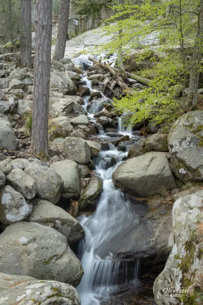 Cascades d'Aitone Cascades d'Aitone