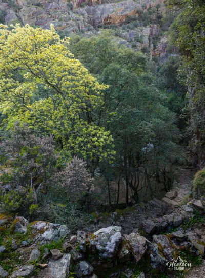 Gorges de la Spelunca