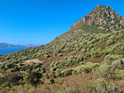 Punta Castellacciu (587 m) peu après le départ Monte Senino – photo 1