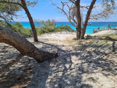 Plage de Saleccia Plage de Saleccia