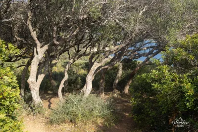 Sentier Sentier