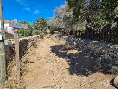 Départ depuis le village de Lumio Ruines d'Occi – photo 17