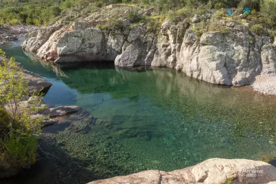 Piscine naturelle