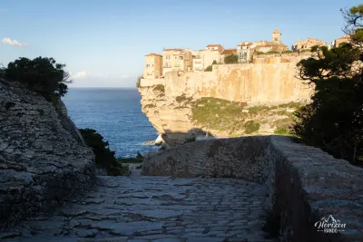 Bonifacio Bonifacio