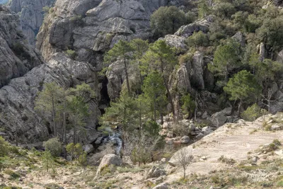 Forêt de l'Ospedale Forêt de l'Ospedale