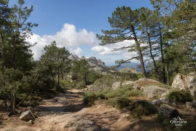 Sentier dans la forêt de Zonza Sentier dans la forêt de Zonza