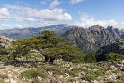 Monte Calva Monte Calva
