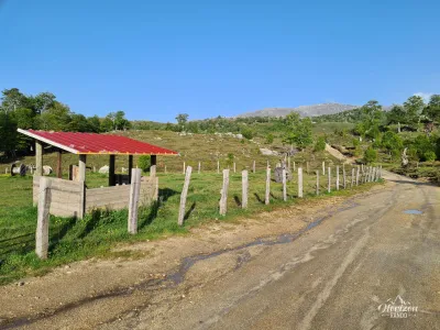 Matalza Matalza