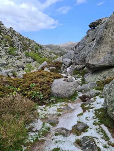 Sentier du Plateau du Cuscione