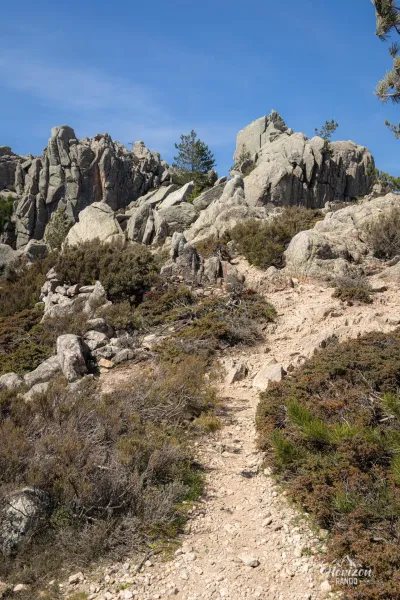 Sentier menant à la Punta di a vacca morta