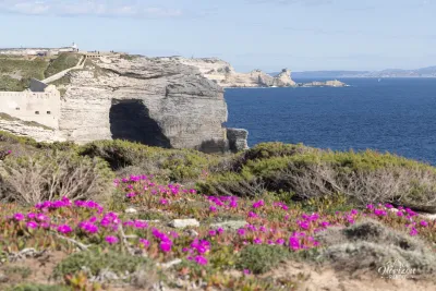 Falaises de calcaire de la côte Accore
