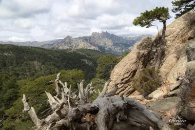 Aiguilles de Bavella Aiguilles de Bavella