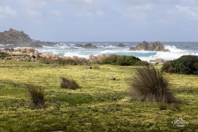 Littoral Littoral