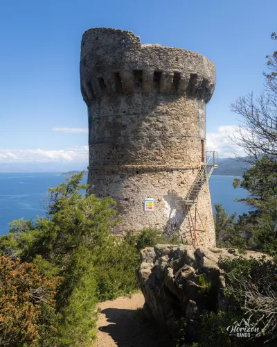 Tour génoise