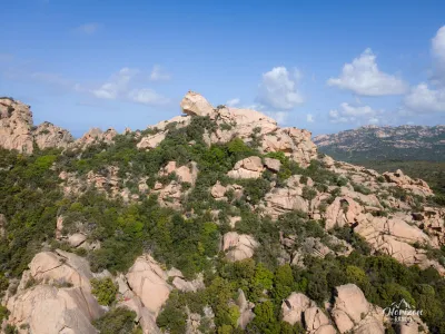 Lion de Roccapina