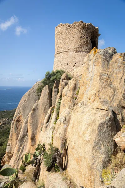 Tour génoise de Roccapina