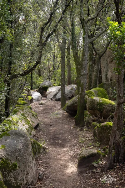 Sentier du patrimoine