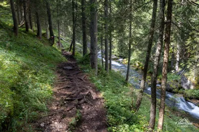 Sentier forestier longeant le Rio Fanes, Dolomites