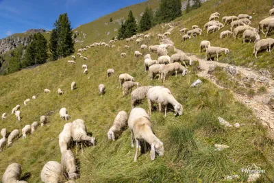 Lago di Fedaia et Rifugio Viel del Pan – photo 10