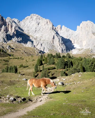 Via ferrata Sass Rigais – photo 18