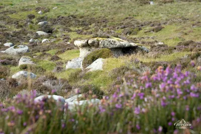 Mullach Buidhe Mullach Buidhe