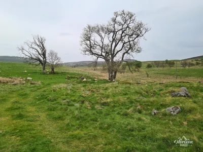 Suite de la randonnée à travers un paysage plus ordinaire Suite de la randonnée à travers un paysage plus ordinaire