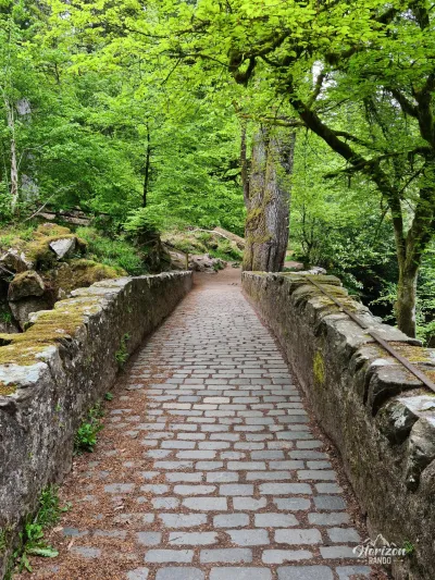 Pont en pierre Pont en pierre