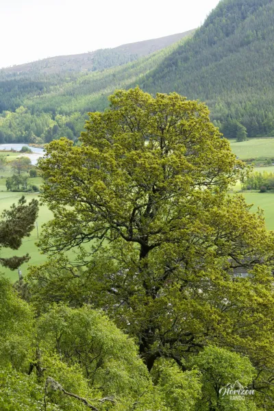 Craigendarroch Craigendarroch