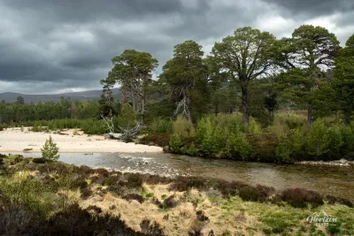 Rivière Lui Rivière Lui