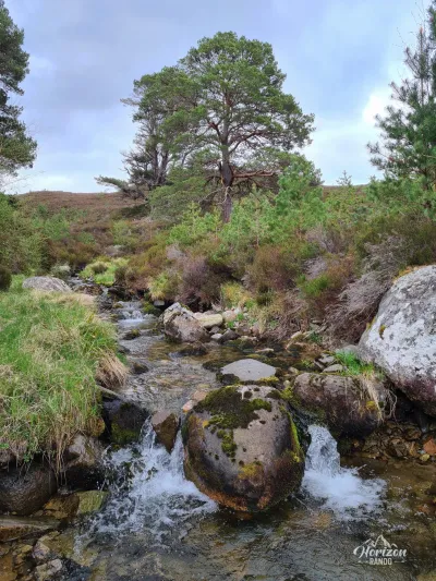 Linn of Quoich