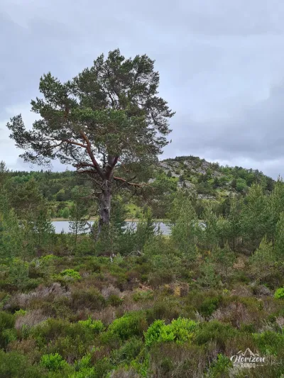 Loch An Eilein Loch An Eilein