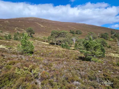 Sommet arrondi de Meall a' Bhuachaille Sommet arrondi de Meall a' Bhuachaille