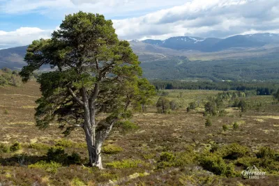 Meall a'Buachaille Meall a'Buachaille