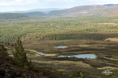 Paysage typique des Cairngorms Paysage typique des Cairngorms