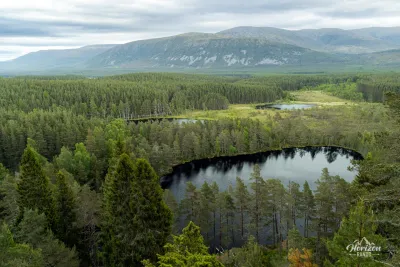 Uath Lochans et forêt de pins d'Inshriach Uath Lochans et forêt de pins d'Inshriach
