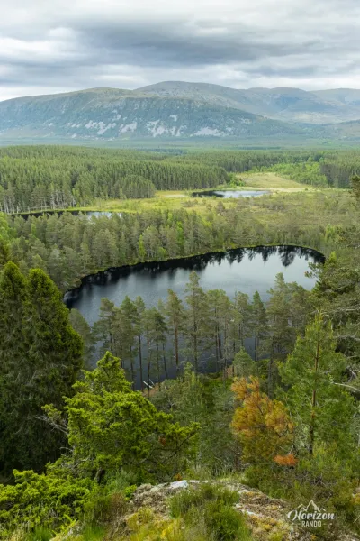 Uath Lochans et forêt de pins d'Inshriach Uath Lochans et forêt de pins d'Inshriach